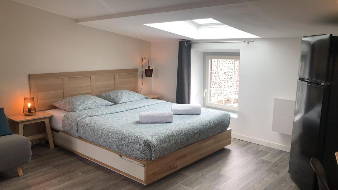 Jolis Appartements Au Coeur De Clermont Ferrand - Proche Jaude - Wifi Et Netflix Exteriör bild